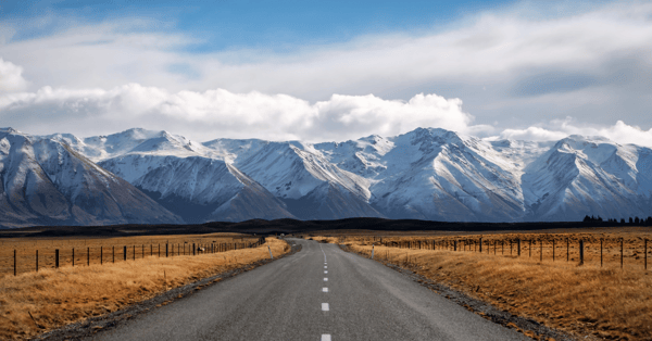 Top Five New Zealand Road Trips to Test Your Suzuki